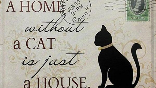 A home without a cat is just a house metal tin poster sign plaque